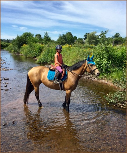 Beaver Creek Ranch - Lumsden, SK