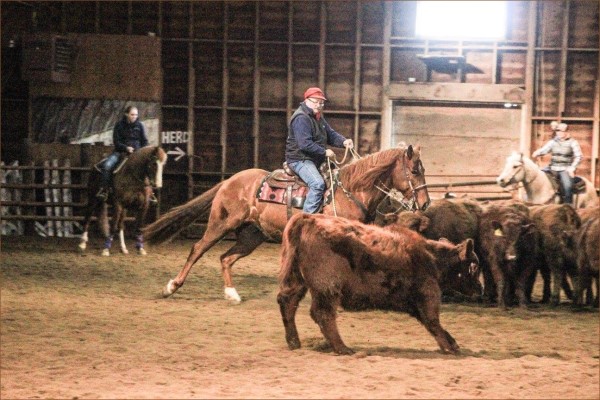 Beaver Creek Ranch - Lumsden, SK