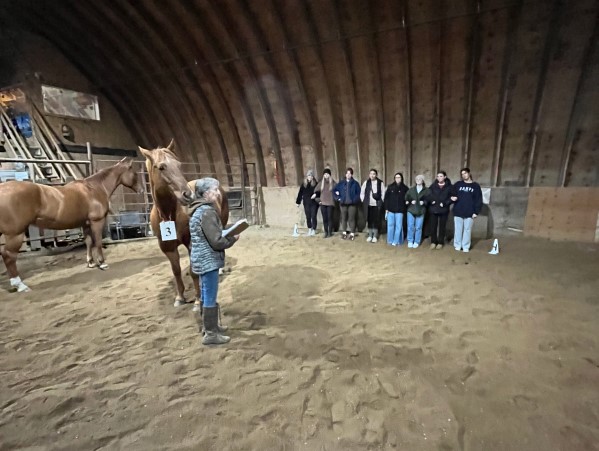 Beaver Creek Ranch, Lumsden SK - EAGALA