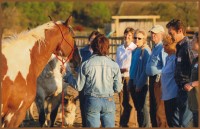 Equine Assisted Learning - Beaver Creek